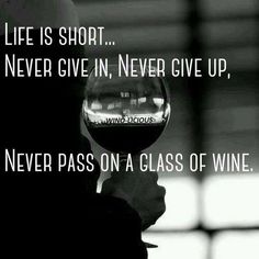 a person holding a wine glass with the words life is short never give in, never give up, never pass on a glass of wine