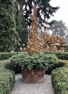 a large potted plant in the middle of a garden