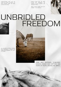 an image of a poster with horses in the background that says unbridled freedom