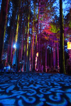 people are sitting in the middle of a forest with colorful lights on it and trees