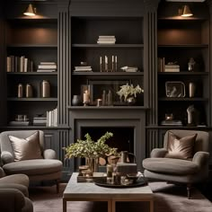 a living room filled with furniture and bookshelves next to a fire burning place