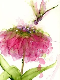 a watercolor painting of a pink flower with a humming on it's wing