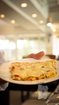 a person holding a plate with an omelet on it