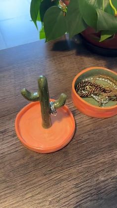 an orange plate with a cactus in it on a wooden table next to a potted plant