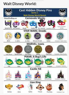 an info sheet with different disney world pins and their names on it's side