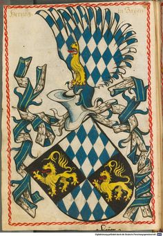 the coat of arms and two lions are depicted on an old book