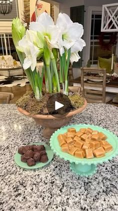 flowers and marshmallows in a bowl on a kitchen counter with chocolate candies