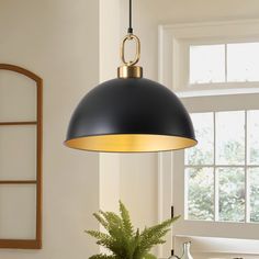 a black and gold pendant light hanging over a kitchen counter with a potted plant