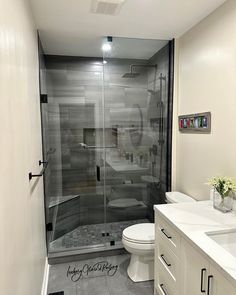 a bathroom with a walk in shower next to a white toilet and sink under a mirror