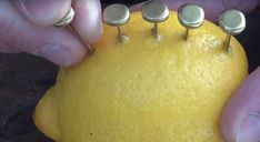 a person is holding a lemon with three small pins on it's back end