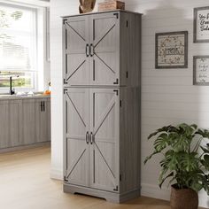 a tall gray cabinet sitting next to a potted plant in a room with white walls