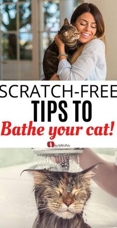 a woman holding a cat in her arms with the caption, scratch - free tips to bathe your cat