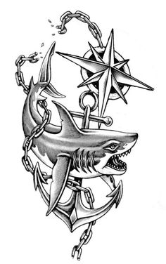 a drawing of a shark with anchors and stars on it's back side, in the shape of a compass