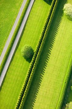 an aerial view of a green field with trees in the middle and a road running through it