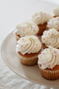 cupcakes with white frosting and sprinkles sit on a plate