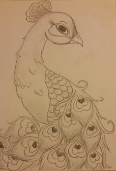 a drawing of a peacock sitting on top of another peacock's tail and head