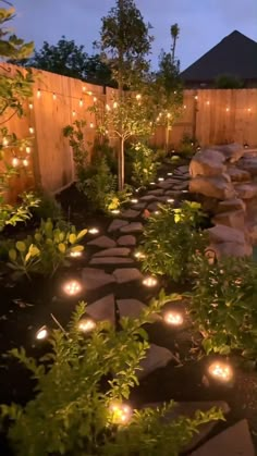 a garden with lights on the rocks and trees