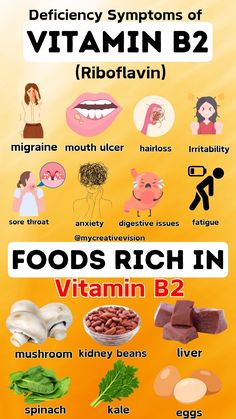 #fashion #recipe #1 #vitamins #vitaminb2 Vitamin B2 Rich Foods, Vitamin B2 Riboflavin Benefits, B2 Vitamin Benefits Of, Best Time To Take Supplements Vitamins, L Theanine Foods, Vitamins In Food, When To Take Vitamins Chart, Green Vegetables List, Best Vitamins For Men