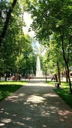 the walkway is lined with trees and benches