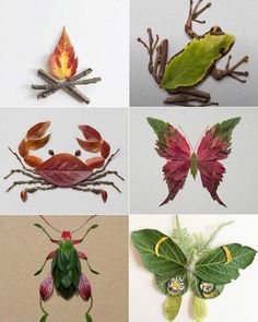 four different types of insects with leaves and moths on them, all in different colors