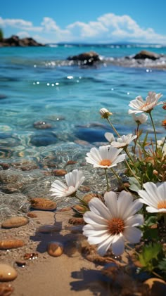 some white flowers are in the sand by the water's edge with rocks and pebbles