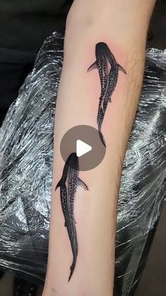 a person with a tattoo on their arm that has an image of two dolphins in it