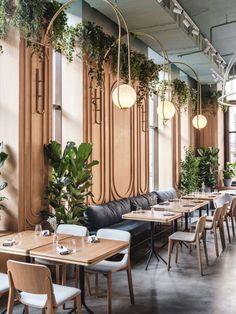 an empty restaurant with wooden tables and white chairs, plants hanging from the wall behind them