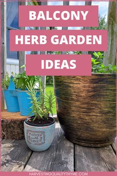 two potted plants sitting on top of a wooden table with text overlay that reads balcony herb garden ideas