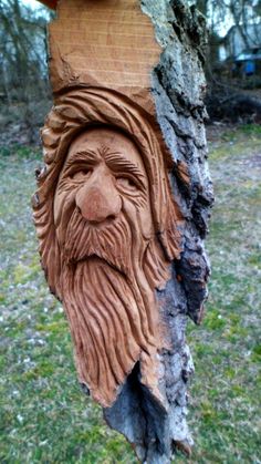 a carving of an old man's face on a tree