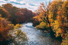 a river running through a forest filled with trees covered in fall foliage and surrounded by blue skies