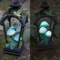 two small lanterns with green plants growing out of them, one is black and the other is blue