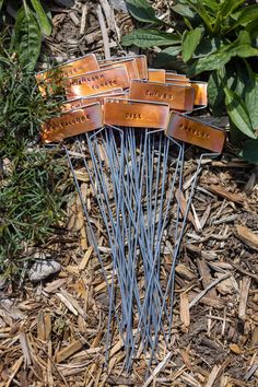 a bunch of blue and brown metal pins sitting on top of some wood chipping