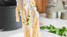 a fork full of pasta being lifted from a white plate with parmesan cheese