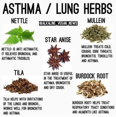 Herbal Remedies Recipes, Medical Herbs, Lungs Health, Natural Healing Remedies, Herbal Healing, Home Health Remedies, Healing Food