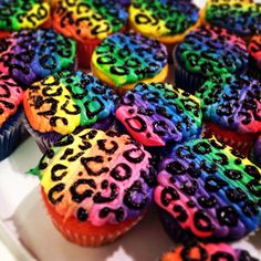 cupcakes decorated with rainbow and black leopard print