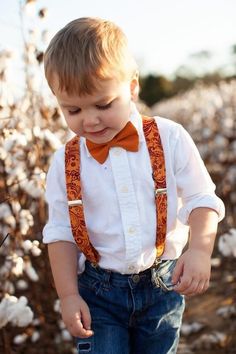 a little boy wearing a bow tie and suspenders in a field of cotton flowers