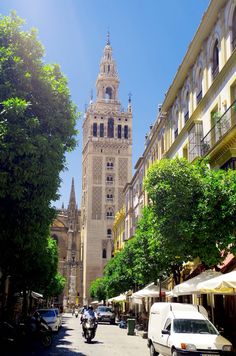 a tall clock tower towering over a city next to trees and parked cars on a street