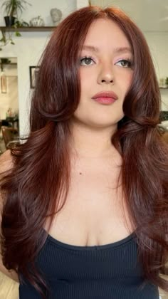 Dark Cherry Auburn Hair, Auburn Hair Color On Olive Skin, Level 6 Auburn Hair Color, Spring Auburn Hair Color, Red Brown Hair On Pale Skin, Red Cherry Hair Color, Red Brown Hair Dye, Copper Brown Hair Pale Skin, Red Hair With Brown