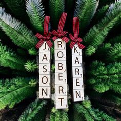 two scrabble tiles with bows tied to them sitting on top of green plants