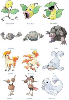 different types of cartoon animals and their names