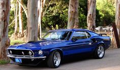 a blue mustang sitting on the side of a road next to trees and a t - shirt