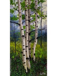 a painting of some white trees in the woods with green grass and wildflowers