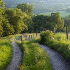 a dirt road in the middle of a lush green field