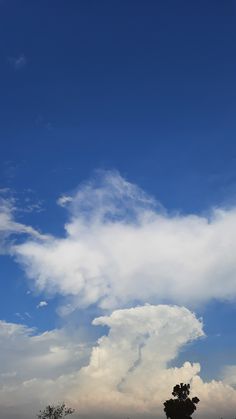 an airplane is flying high in the sky above some trees and grass on a sunny day