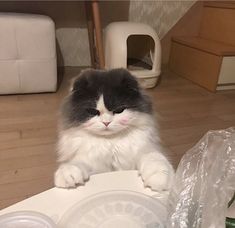 a black and white cat sitting on top of a toilet seat with its eyes closed