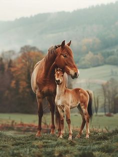 an adult horse standing next to a baby horse on a lush green field with trees in the background