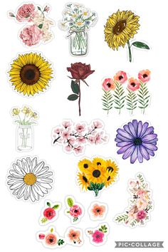 flowers stickers are shown in various colors and shapes, including sunflowers, daisies, and roses