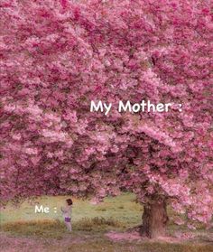 a child standing under a pink tree with the words, my mother