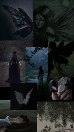 a collage of images with different types of wings and flowers on them, including a woman holding a butterfly in her right hand