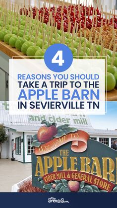 apples on sticks with the title 4 reasons you should take a trip to the apple barn in sevierville tn